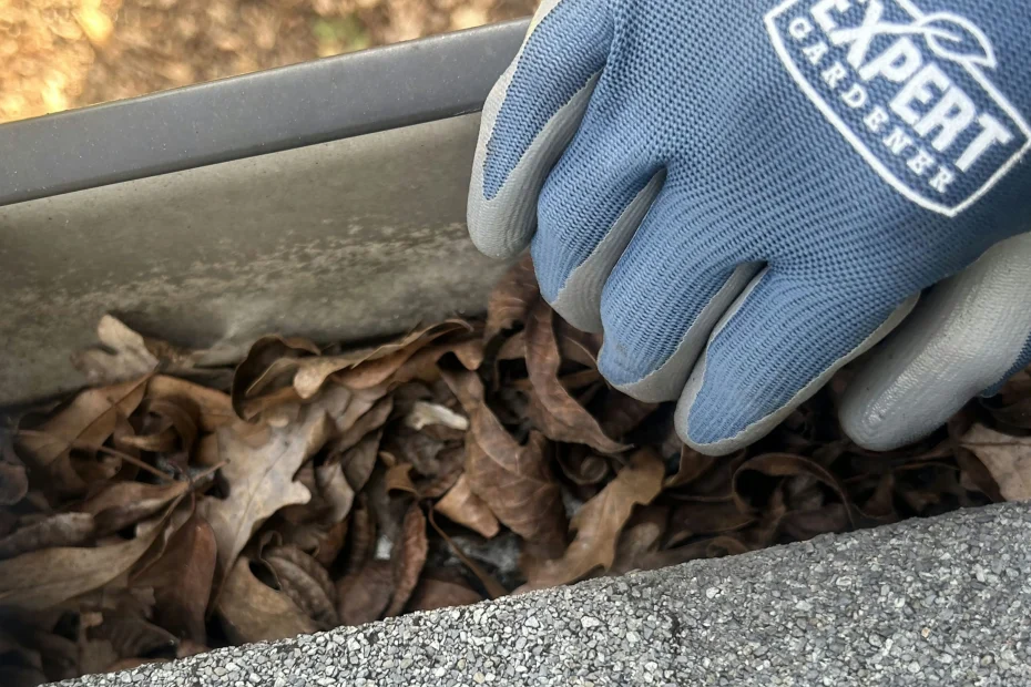 Gutter Cleaning Munroe Falls